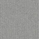 338081_n