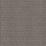 338671_n