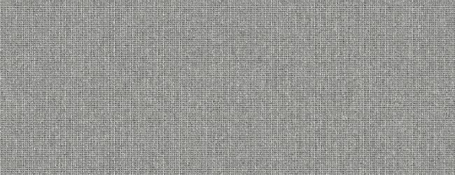 338081_n