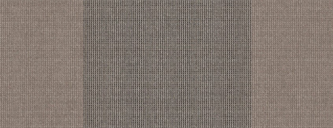 338671_n
